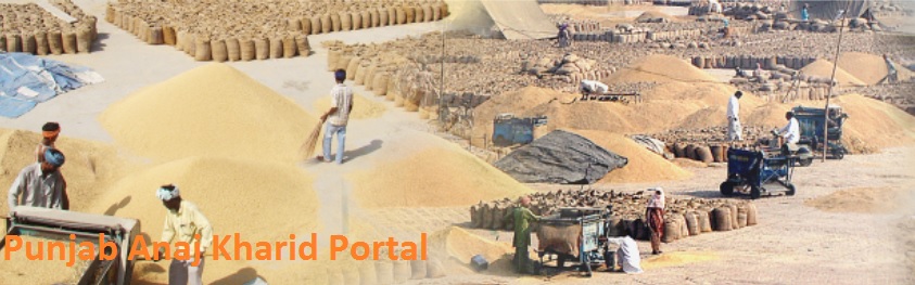 Punjab Anaj Kharid Portal