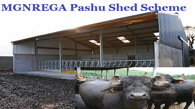 MGNREGA Pashu Shed Scheme 2023 Apply Online, List, Form